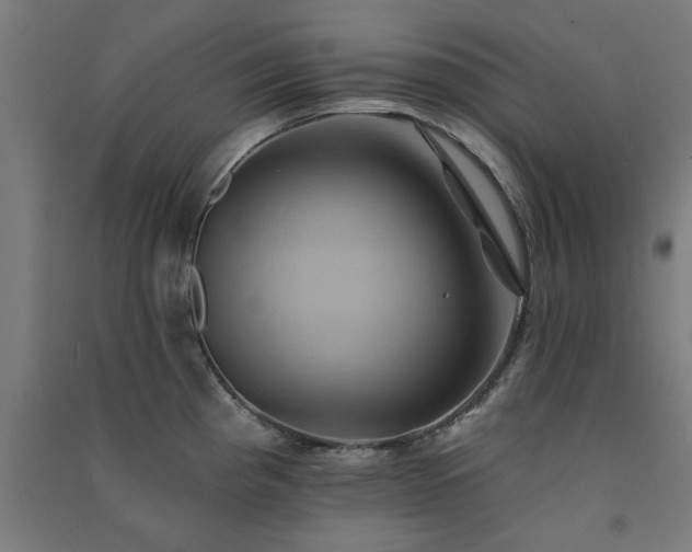X0000091591193200708201223