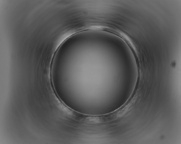 X0000091591194200708201223