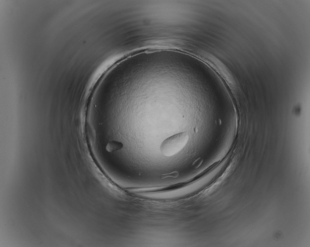 X0000091591196200708201223