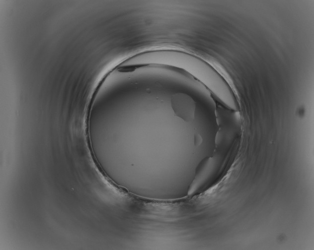 X0000091591197200708201223