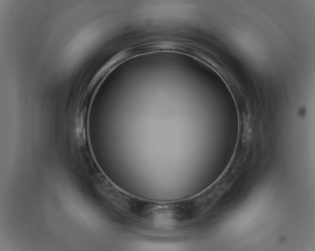 X0000091591198200708201223