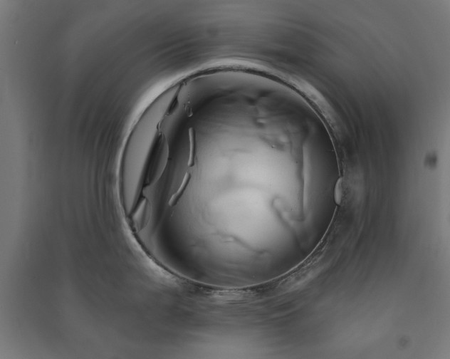 X0000091591199200708201223