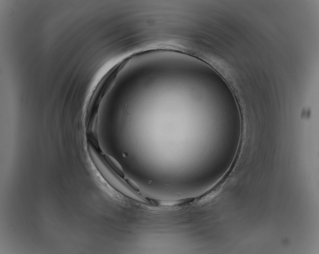 X0000091591200200708201223