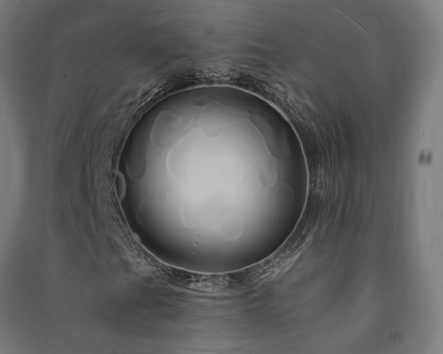 X0000091591201200708201222