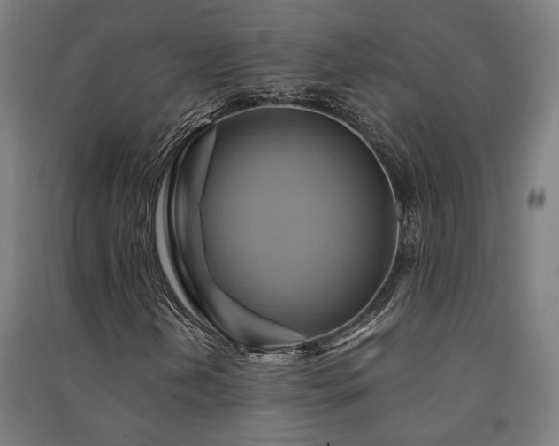 X0000091591202200708201222