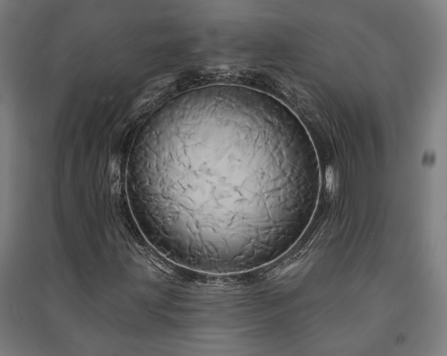X0000091591203200708201222