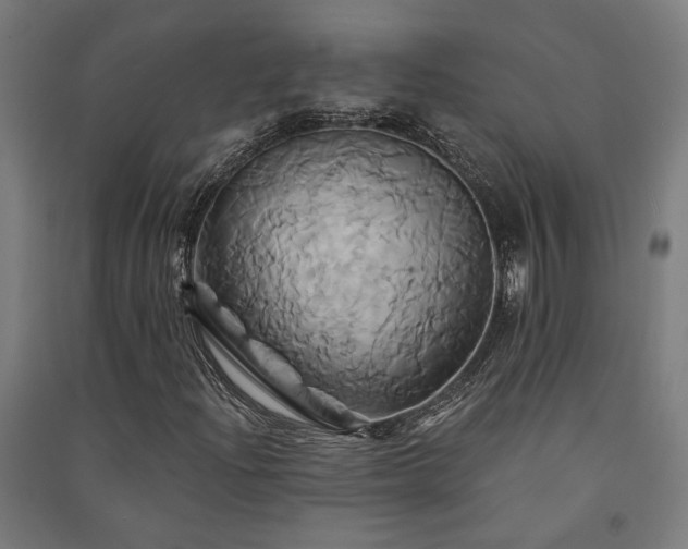 X0000091591204200708201222