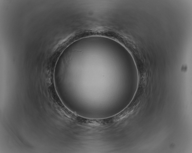X0000091591205200708201222
