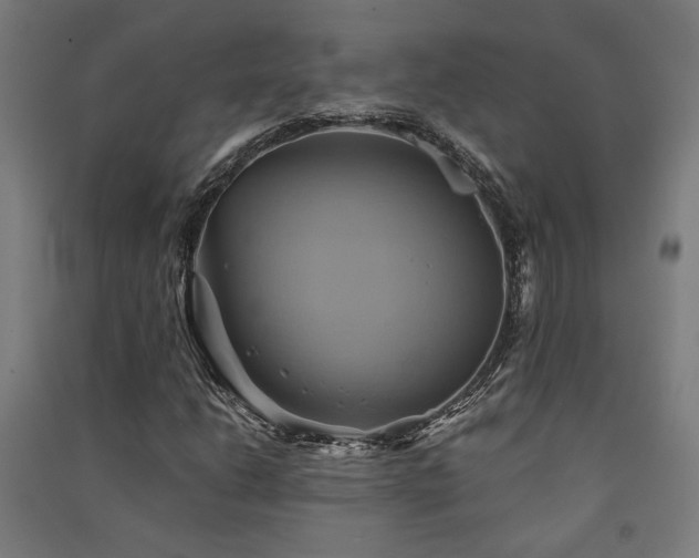 X0000091591206200708201222