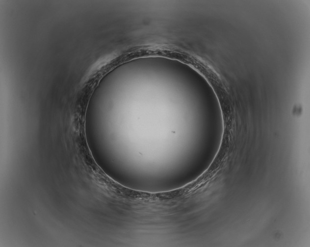 X0000091591207200708201222