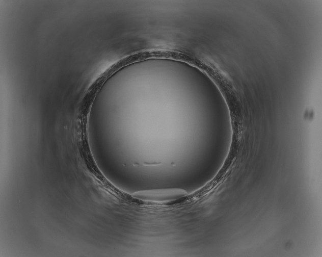 X0000091591208200708201222