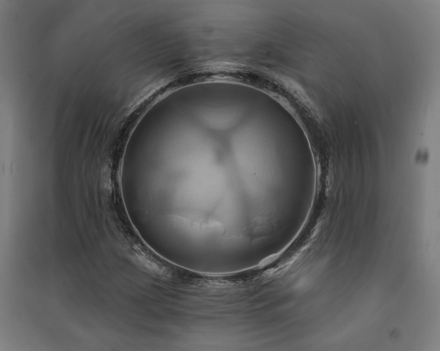 X0000091591209200708201222
