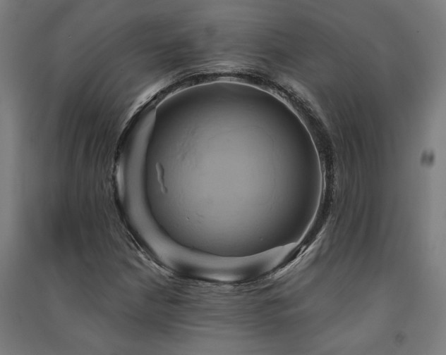 X0000091591210200708201222