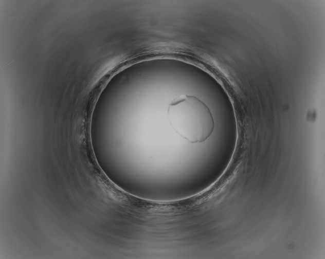 X0000091591211200708201222