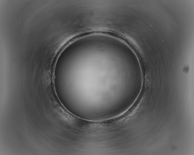X0000091591212200708201222