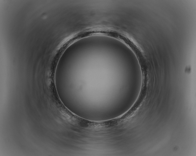 X0000091591213200708201222