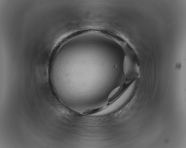 X0000091591214200708201222