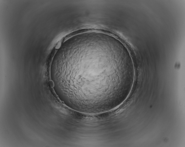 X0000091591215200708201222