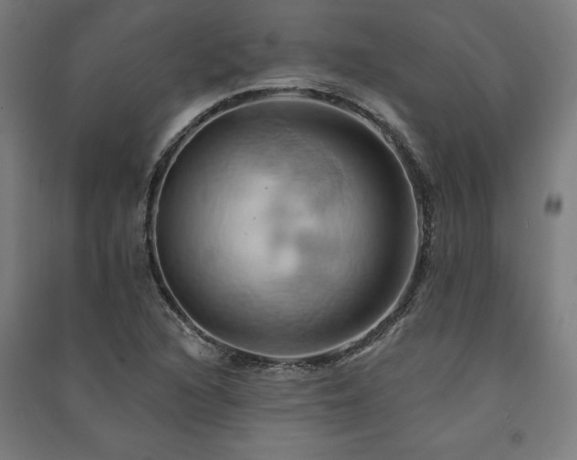 X0000091591216200708201223