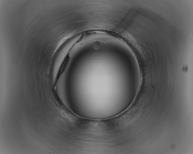 X0000091591218200708201223