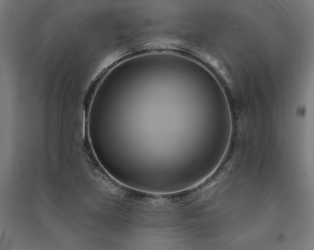 X0000091591219200708201223