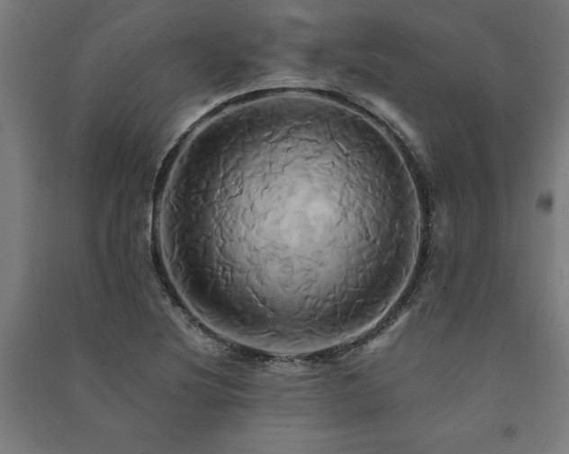 X0000091591220200708201223