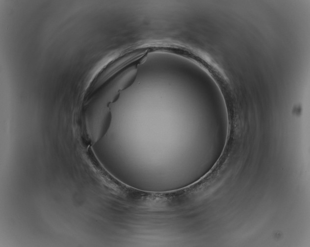 X0000091591221200708201223