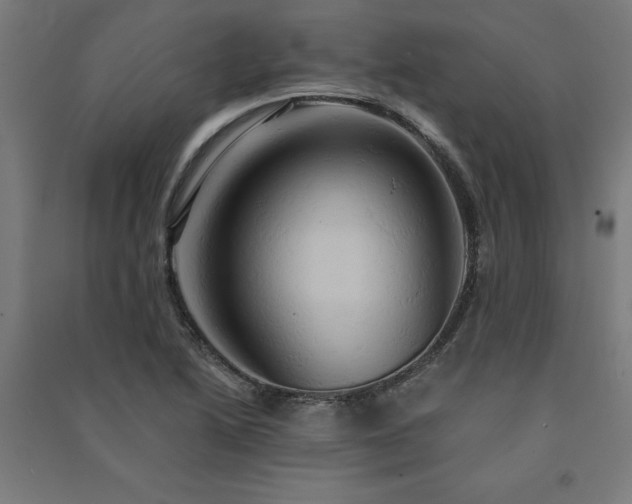 X0000091591222200708201223