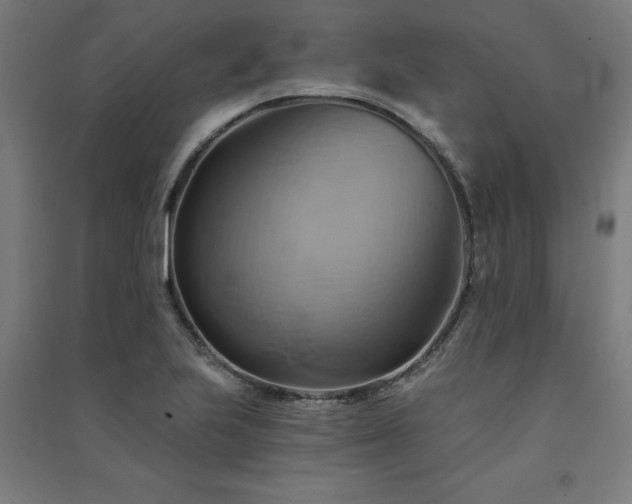X0000091591223200708201223
