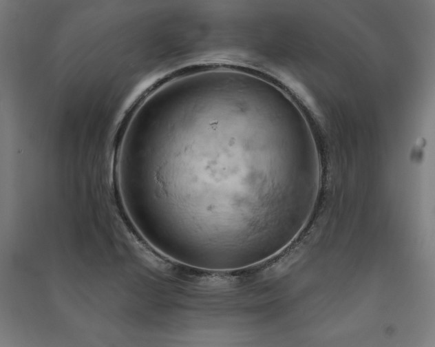 X0000091591224200708201223