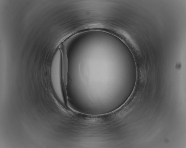 X0000091591225200708201223