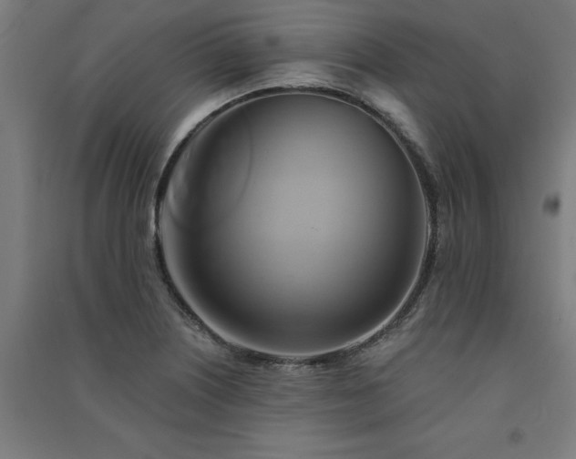 X0000091591226200708201223