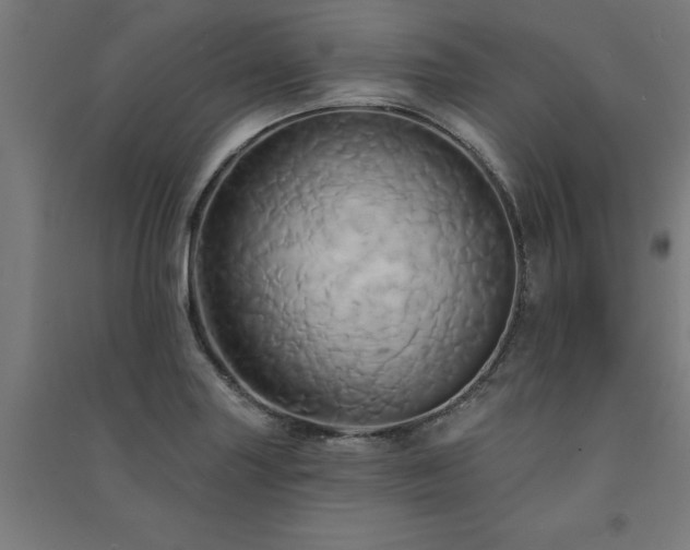 X0000091591227200708201223