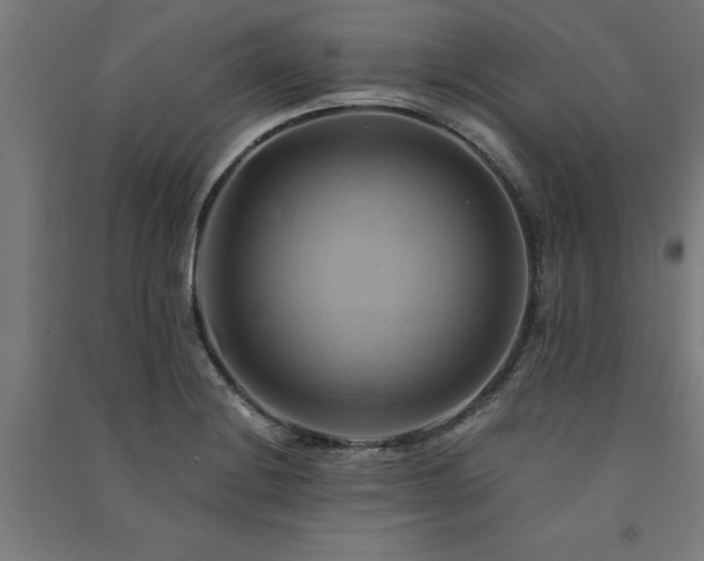 X0000091591228200708201223