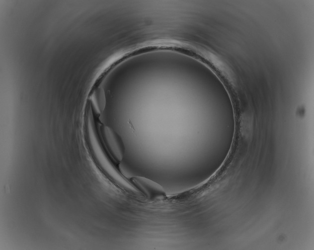 X0000091591229200708201223
