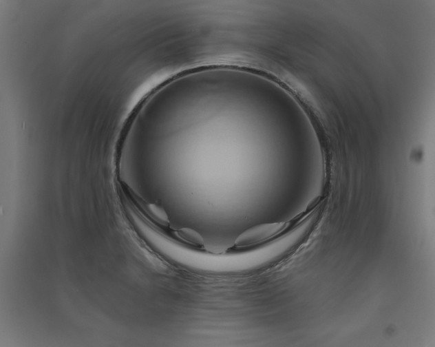 X0000091591230200708201223