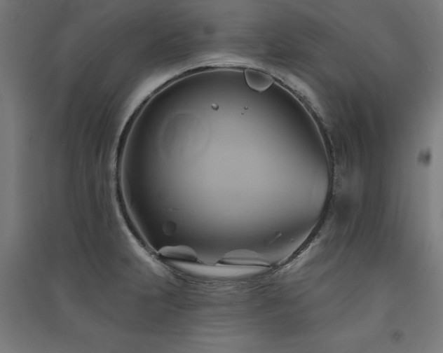 X0000091591231200708201223