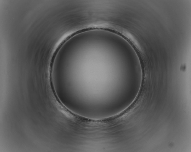 X0000091591232200708201223