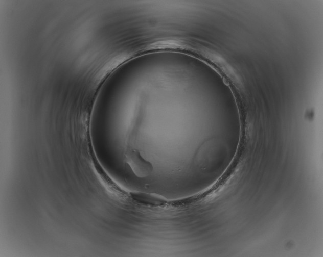X0000091591233200708201223
