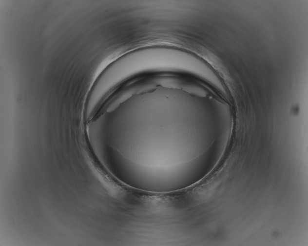 X0000091591234200708201223