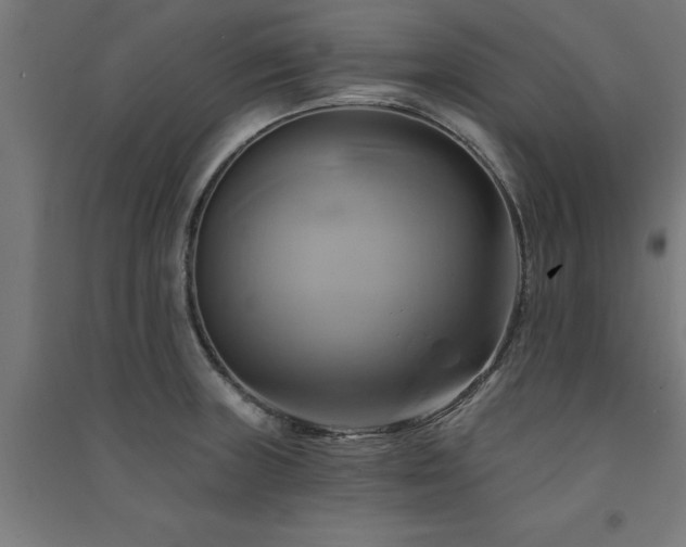X0000091591235200708201223