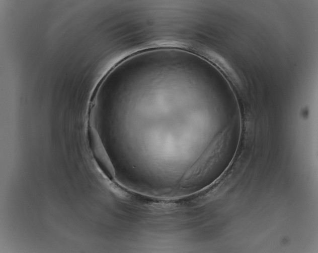 X0000091591236200708201223