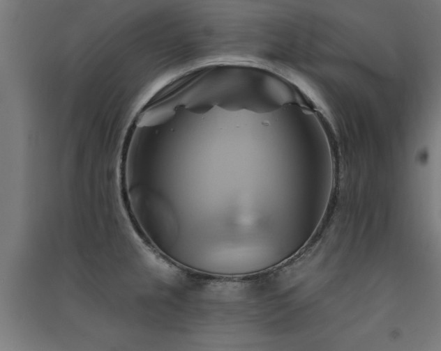 X0000091591237200708201223