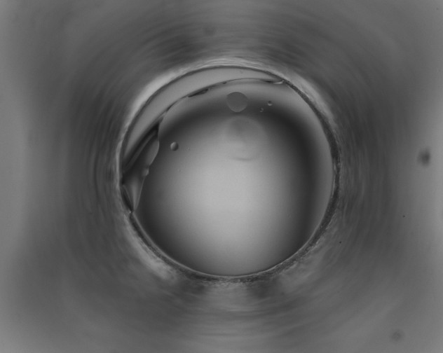 X0000091591238200708201223