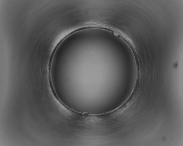 X0000091591239200708201223