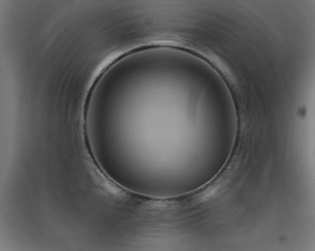 X0000091591240200708201223