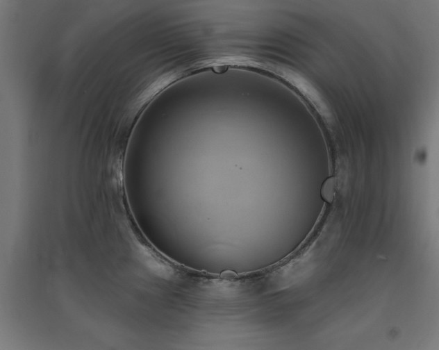 X0000091591241200708201223
