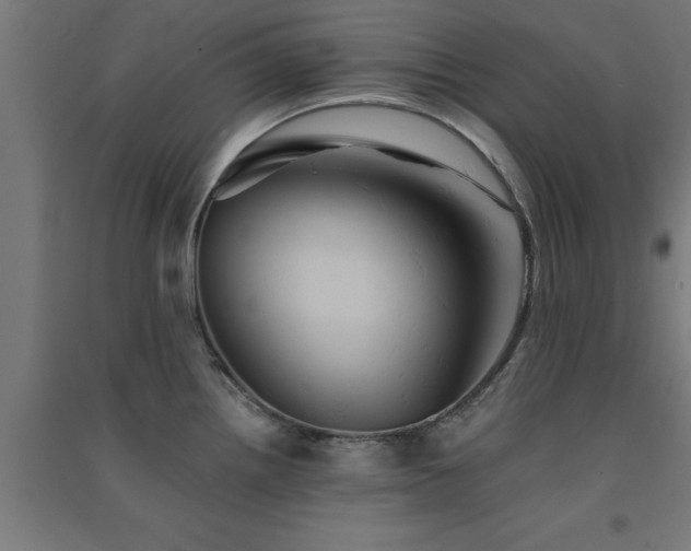 X0000091591242200708201223