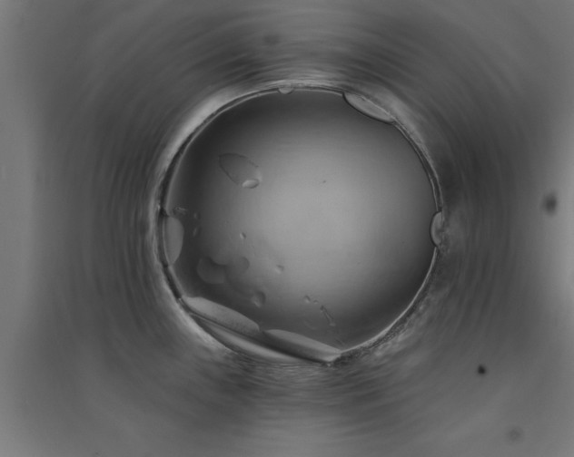 X0000091591243200708201223