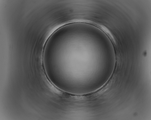 X0000091591244200708201223